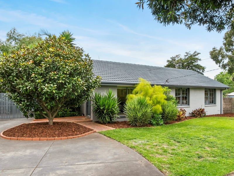 19 Ophelia Street Ferntree Gully Vic 3156