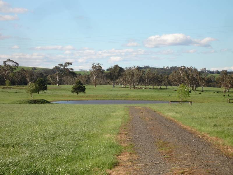 3133 Canyonleigh Road, Sutton Forest, NSW 2577