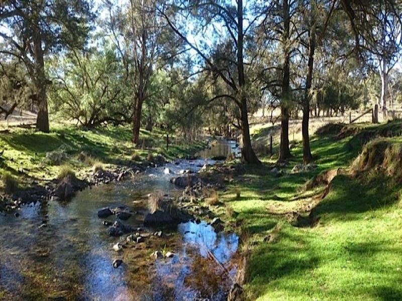 4225 Halls Creek Road, Tamworth, NSW 2340 Property Details