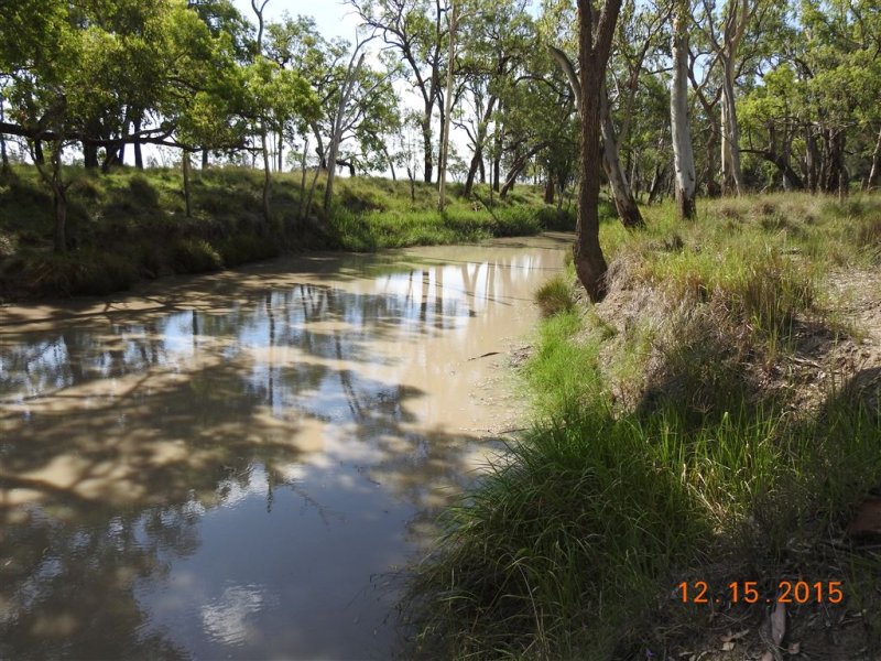 Property 7793166, Tara, Qld 4421 Property Details