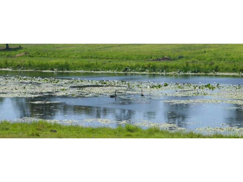 57 Runnymede Road, Kyogle, NSW 2474