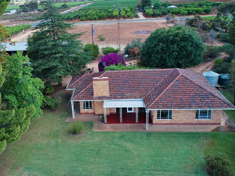 64 Gaskell Road, Barmera, SA 5345 Property Details