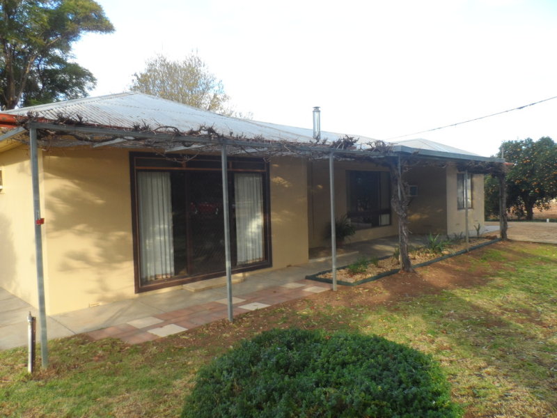 408 Balfour Ogilvy Avenue, Loxton North, SA 5333