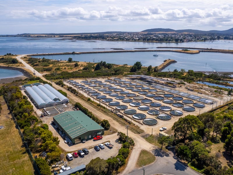 Real Estate & Property for Sale in Launceston, TAS Pg. 51 realestate