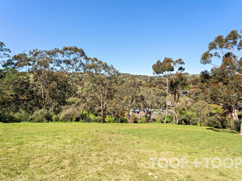 225 Coromandel Parade, Coromandel Valley, SA 5051