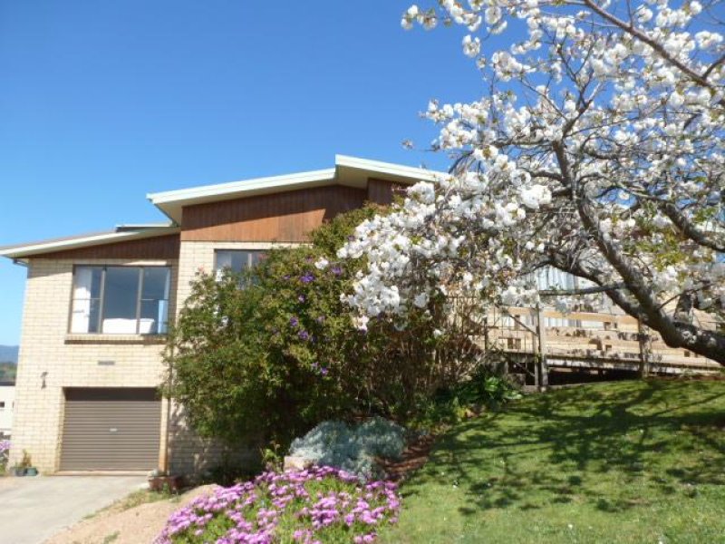 14 Hedley Street, Scottsdale, Tas 7260 Property Details