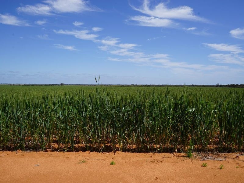 Property 7852366, Beacon, WA 6472 Property Details