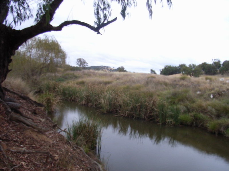 Property 7206884, Mudgee, NSW 2850 Property Details