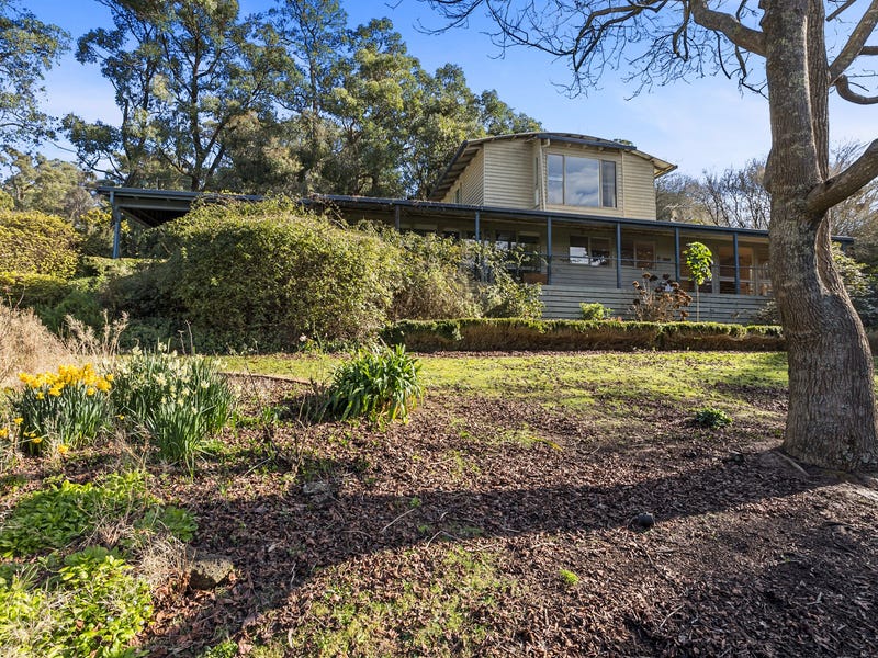 41 Beauford Road, Red Hill South, Vic 3937