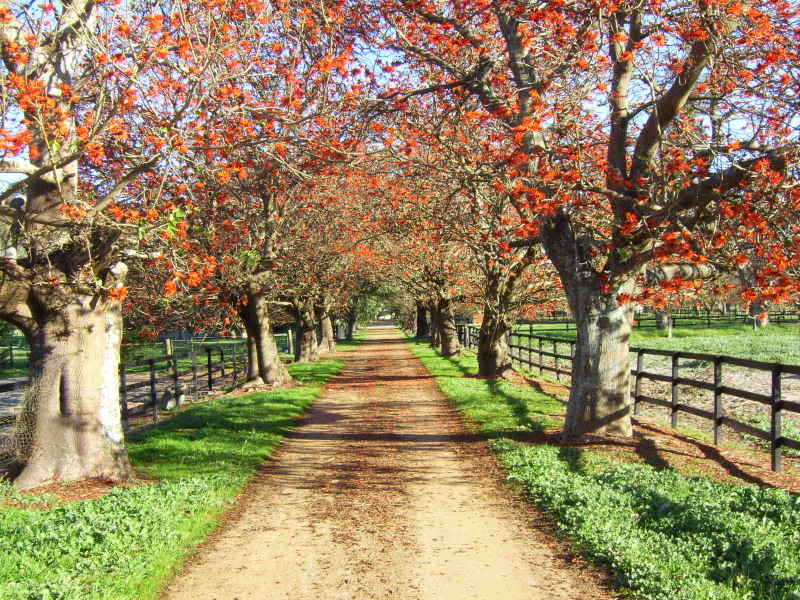 187 Utley Road, Serpentine, WA 6125 Property Details