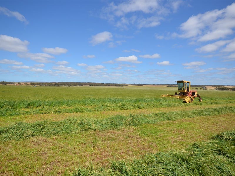 99 Otto Road, Mypolonga, SA 5254 Property Details