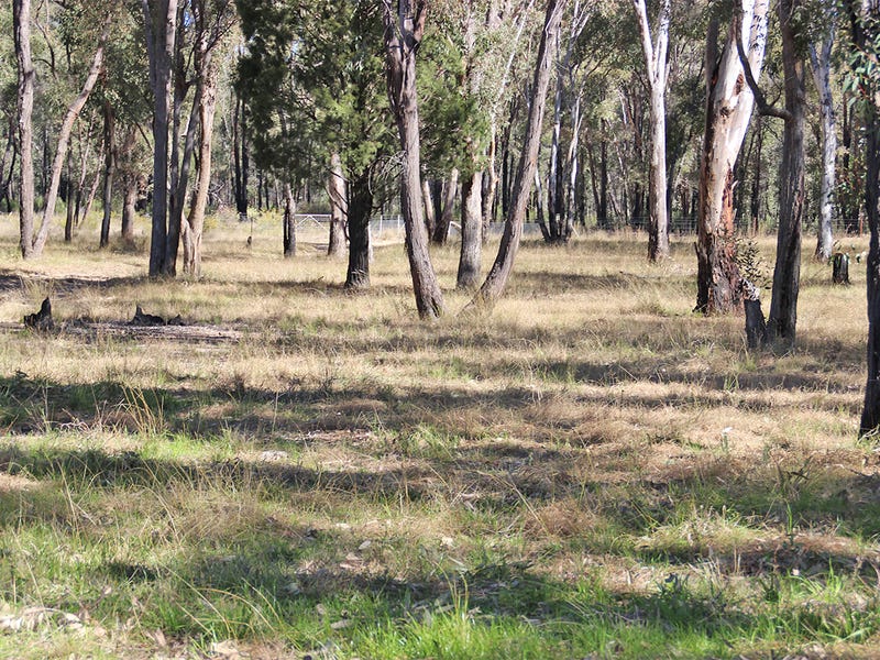 1142 MANCERS LANE, Binnaway, NSW 2357 Property Details