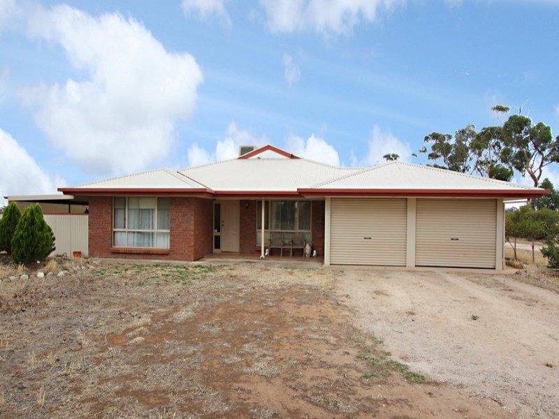 Lot 101 Hillier Road, Hillier, SA 5116 Property Details