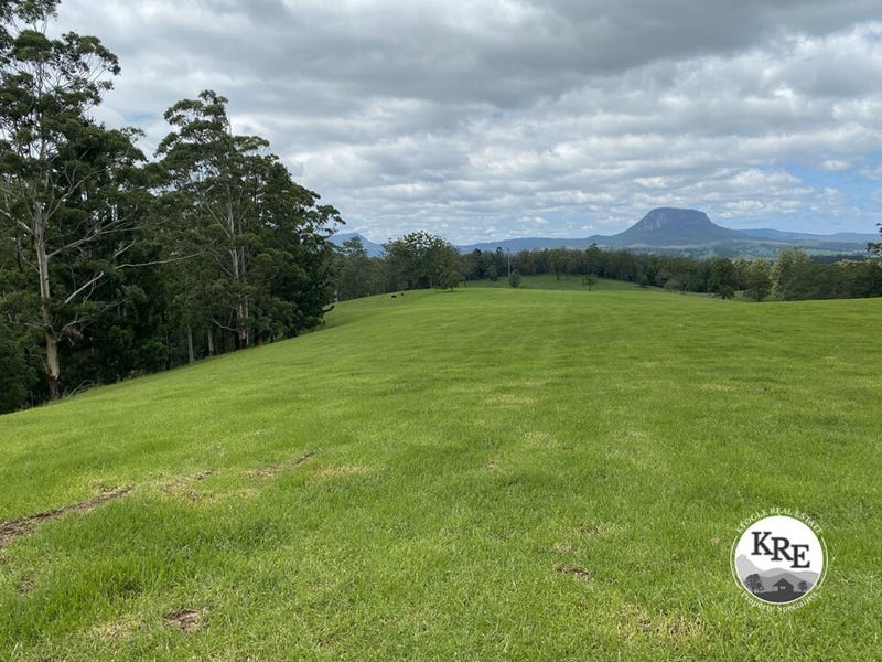 14072 Mount Lindesay Hwy, Woodenbong, NSW 2476 Livestock for Sale