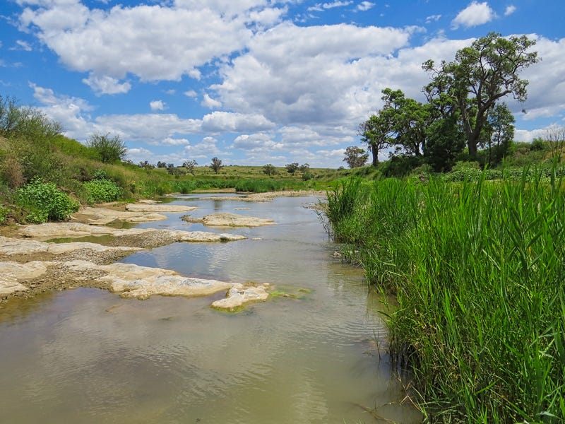 3133 Allan Cunningham Road, Warialda Rail, NSW 2402