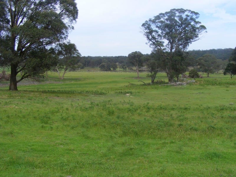 749 Costellos Road, Mount Mitchell, NSW 2365