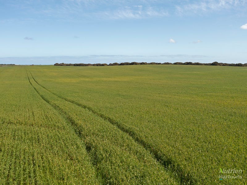 Sect. 137 Wild Dog Hill Road, Warooka, SA 5577 Property Details