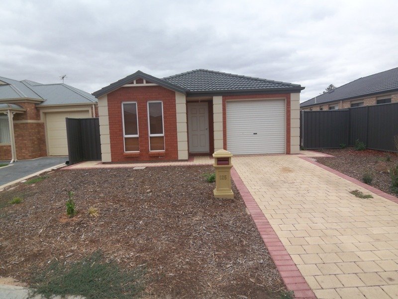 125 Lakeside Drive, Andrews Farm, SA 5114