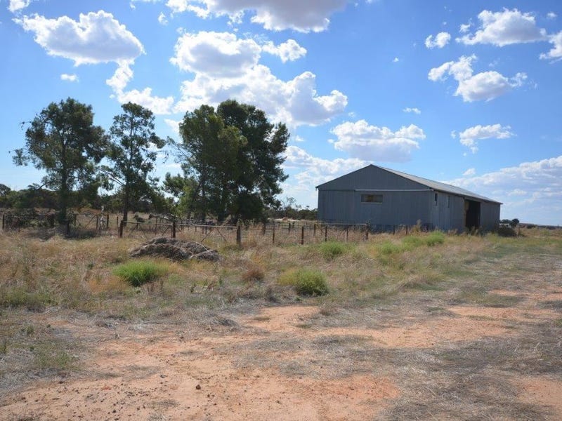 6783 Billiatt Road, Lameroo, SA 5302