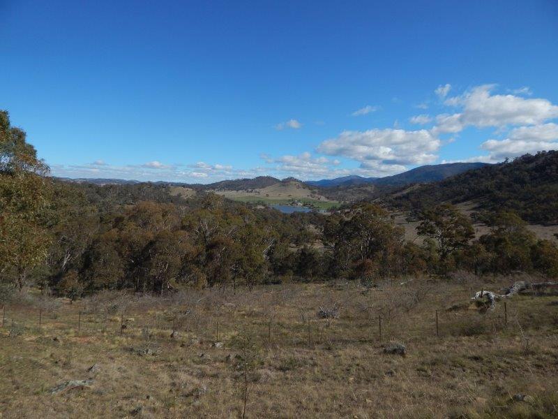 Lot 220 Ingelara Rail Track, Colinton, NSW 2626 Property Details