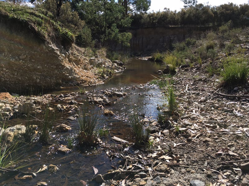 832 Kerrs Creek Road, Kerrs Creek, NSW 2800