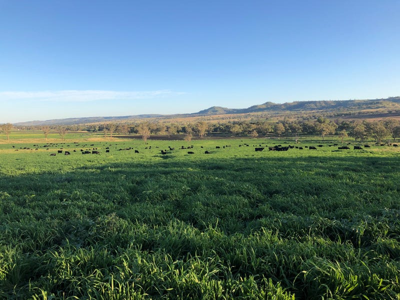 Rural properties for Sale in Scone, NSW 2337