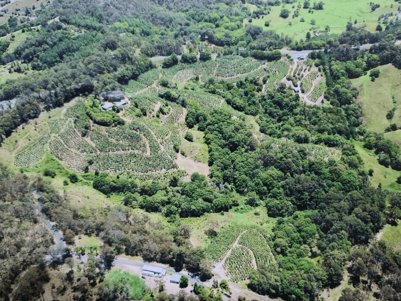 7272 Tweed Valley Way, Fernvale, NSW 2484