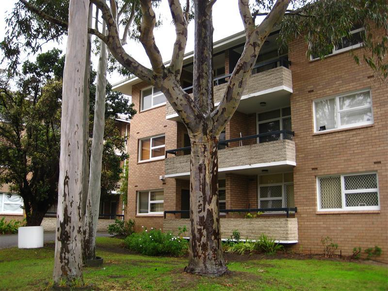 18-292-stirling-street-highgate-wa-6003-property-details