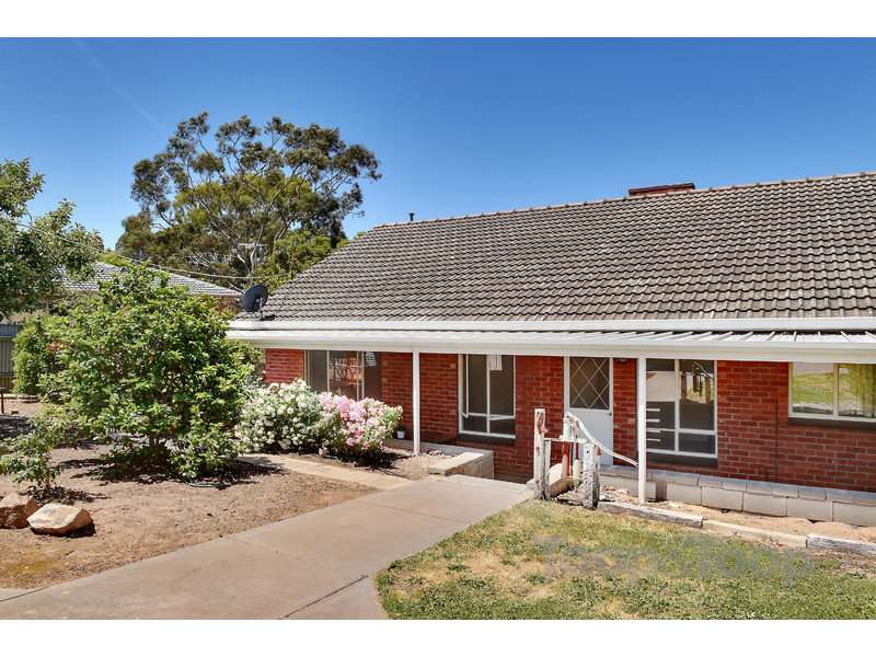 48 Diosma Drive, Coromandel Valley, SA 5051