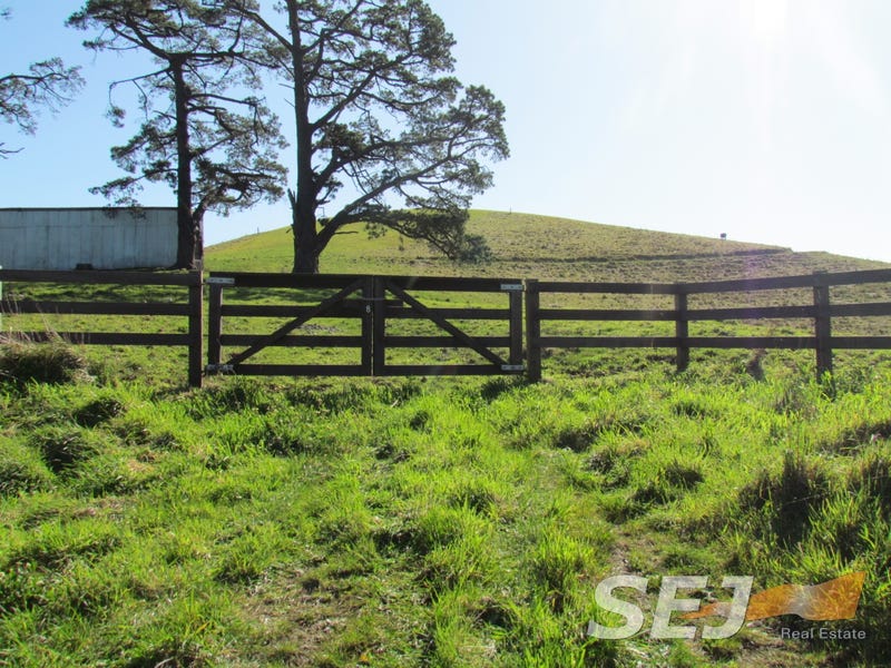 8 Curwen Road, Mountain View, VIC 3988