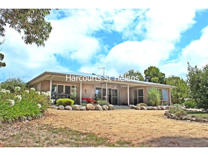 25 Upper Scamander Road, Scamander, TAS 7215