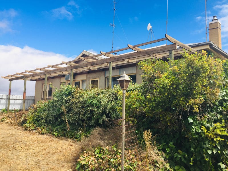 25 Mallee Road, Neales Flat, SA 5374