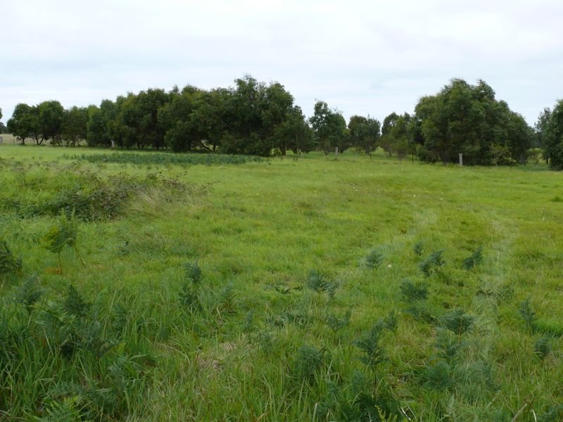 200 Birrells Road, Creek, VIC 3875