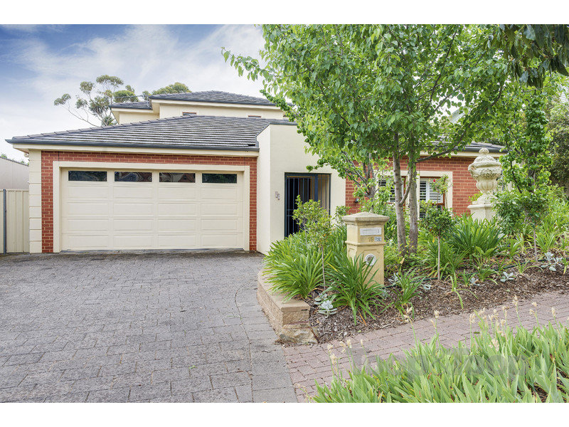 19 Hill Street, Burnside, SA 5066 Property Details