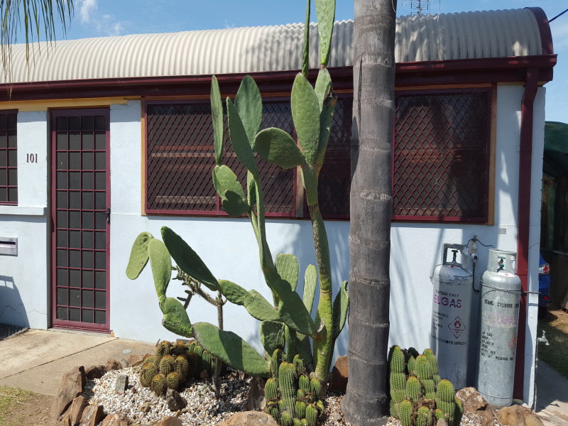 2/101 Marius Street, Tamworth, NSW 2340