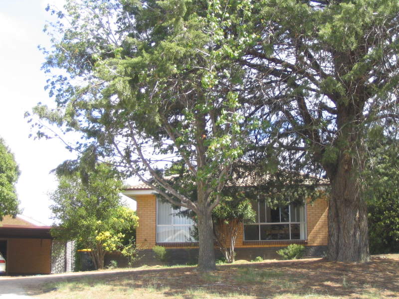 3 Low Place, Pearce, ACT 2607 Property Details