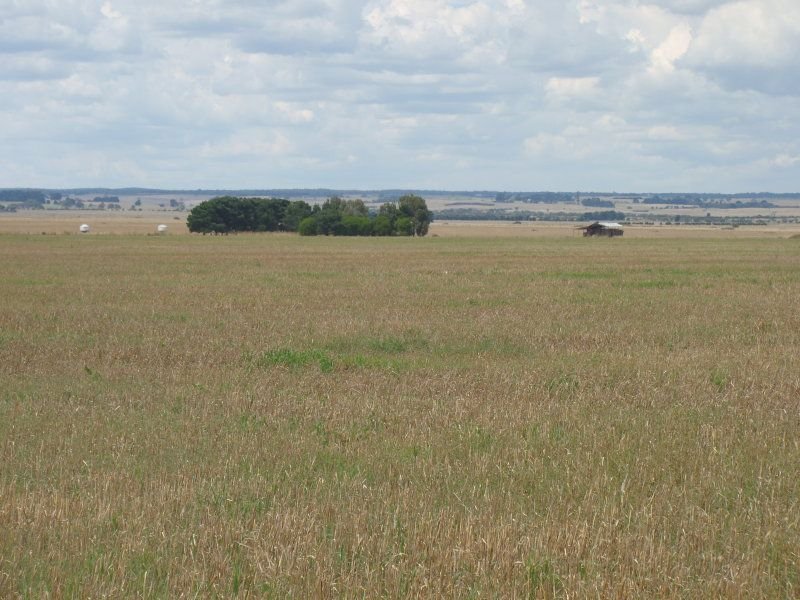 655 Pitfieldcressy Road, VIC 3352