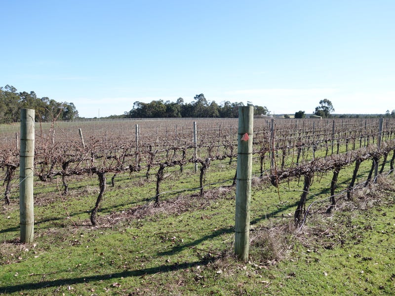 2062 Rosa Brook Road, Rosa Brook, WA 6285