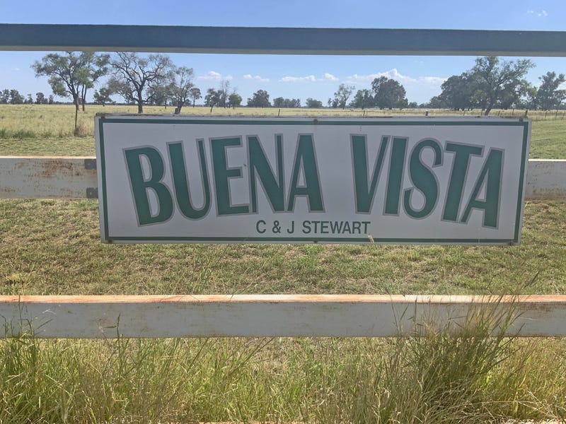 465 Bourbah Rd "Buena Vista" Road, Collie, NSW 2827 Other for Sale