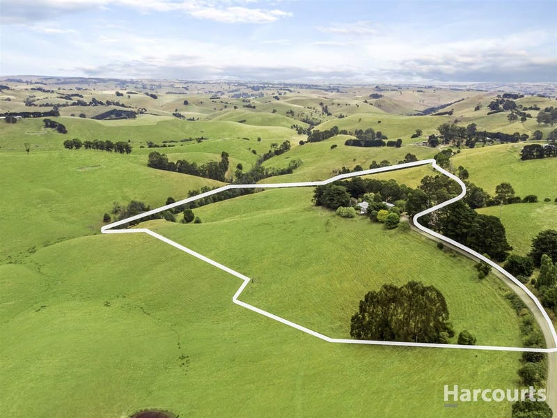 195 Mountain Viewmcdonalds Track, Mountain View, VIC 3988 realestate