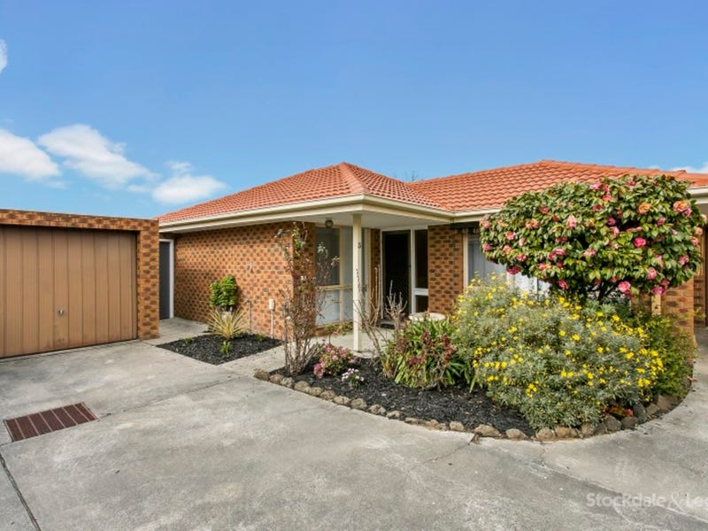 Carpet Timber Flooring In Berwick Cranbourne Narre Warren