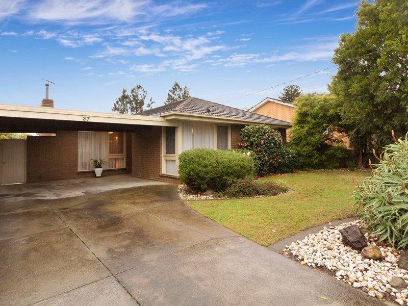 37 Argus Street, Cheltenham, Vic 3192 Property Details