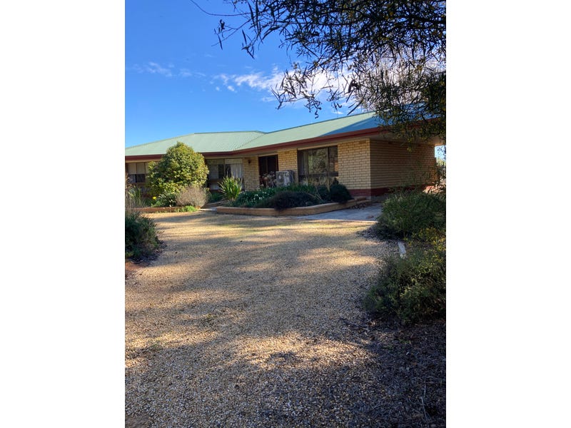 556 Kulkyne Street, Renmark West, SA 5341