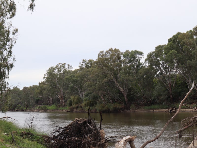 145 River St, Corowa, NSW 2646 House for Sale