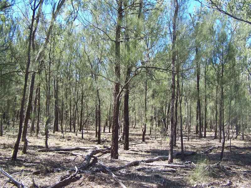 Lot2 Deanfield Estate, Kogan, Kogan, Qld 4406 Property Details