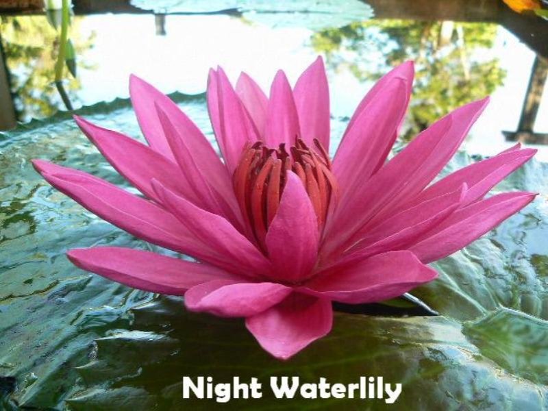 Sold House Prices & Auction Results in Mission Beach, QLD 4852 Pg. 58