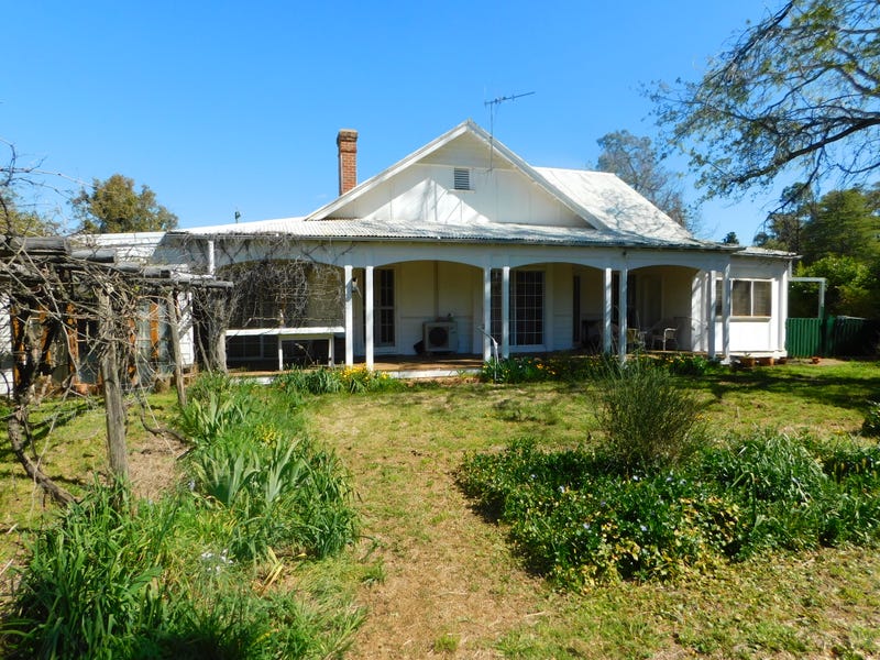 12 Castlereagh Avenue, Binnaway, NSW 2395 Property Details