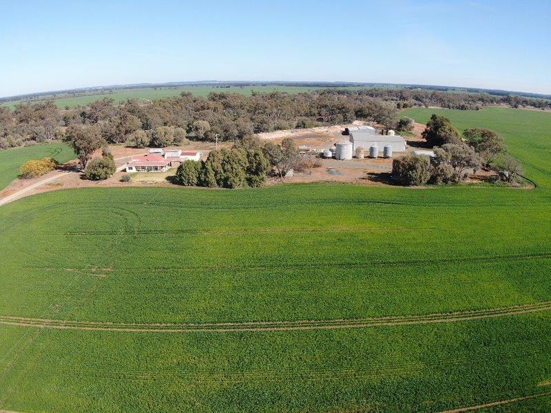 'Allendale' 233 Waarbilla Road, Barmedman, NSW 2668 Cropping for Sale