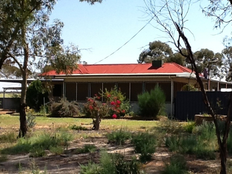 Lot 94100 MullewaWubin Road, Perenjori, WA 6620 Property Details