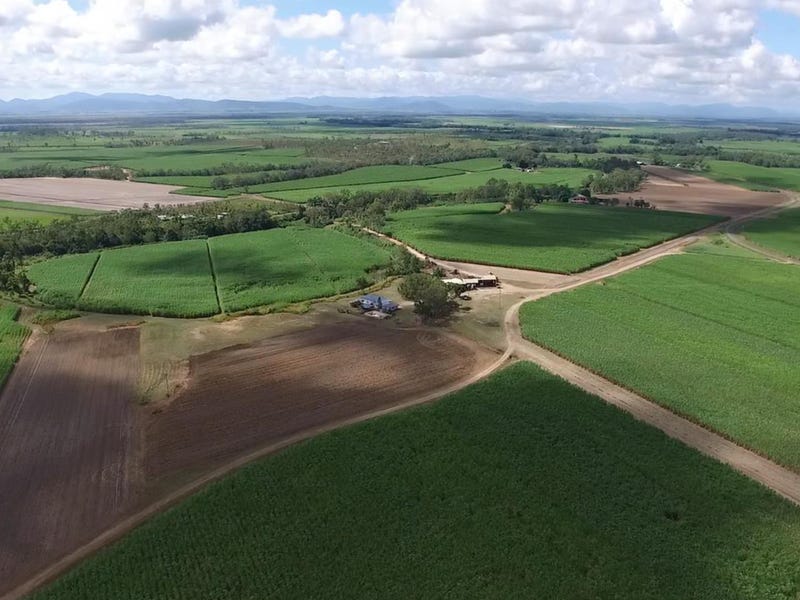 1426 Kelsey Creek Rd, Proserpine, Qld 4800 Property Details